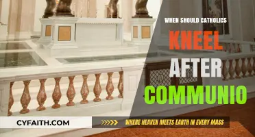 Post-Communion Kneeling: Catholic Tradition and Proper Timing Explained