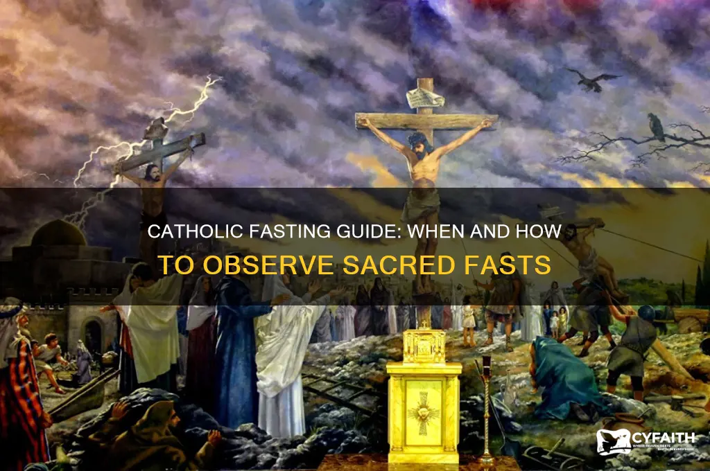 when should i fast as a catholic