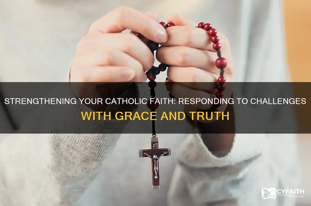 when someone challenges your catholic faith
