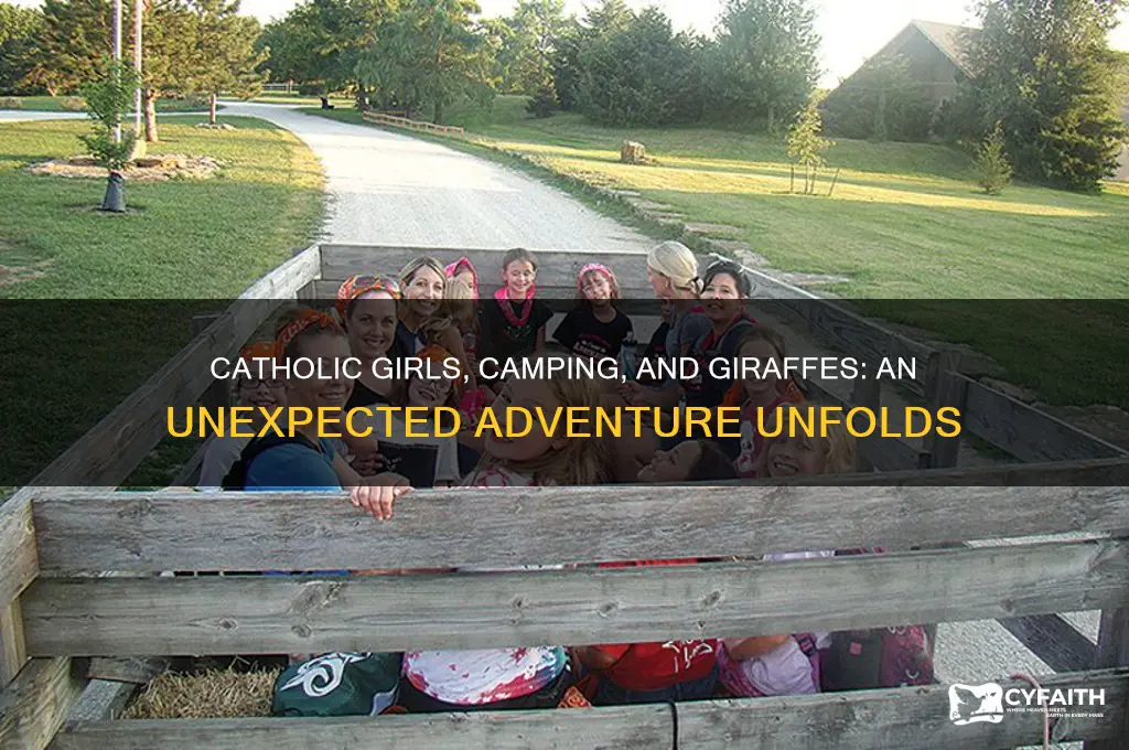 when the catholic girls go camping giraffes