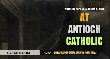 When the Pope Strays: St. Paul's Antiochian Catholic Perspective