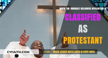 Protestant Classification: Analyzing the Impact of Religious Affiliation as a Variable