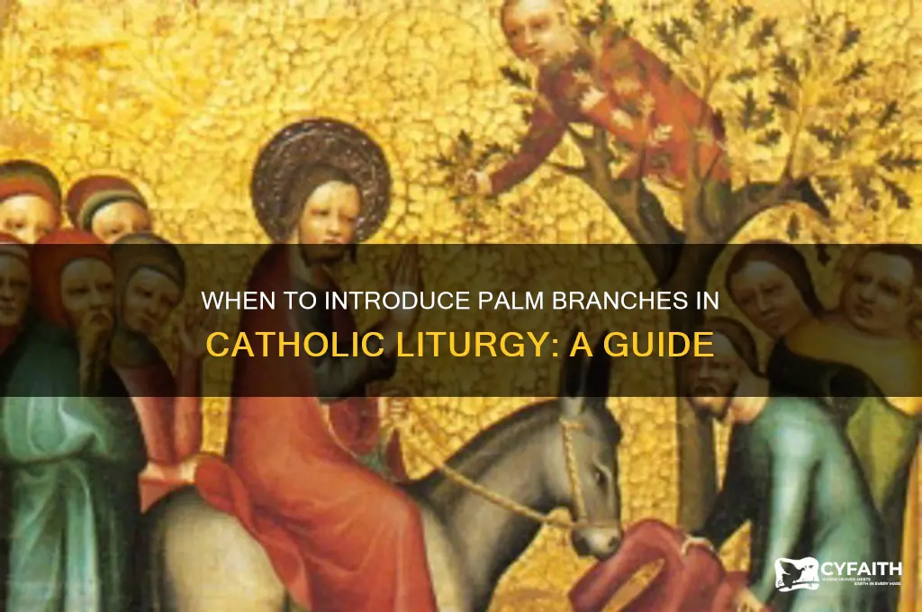 when to bring in palms catholic