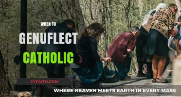 When to Genuflect in Catholic Mass: A Guide to Proper Reverence