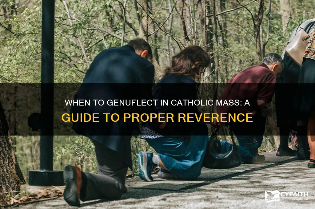 when to genuflect catholic