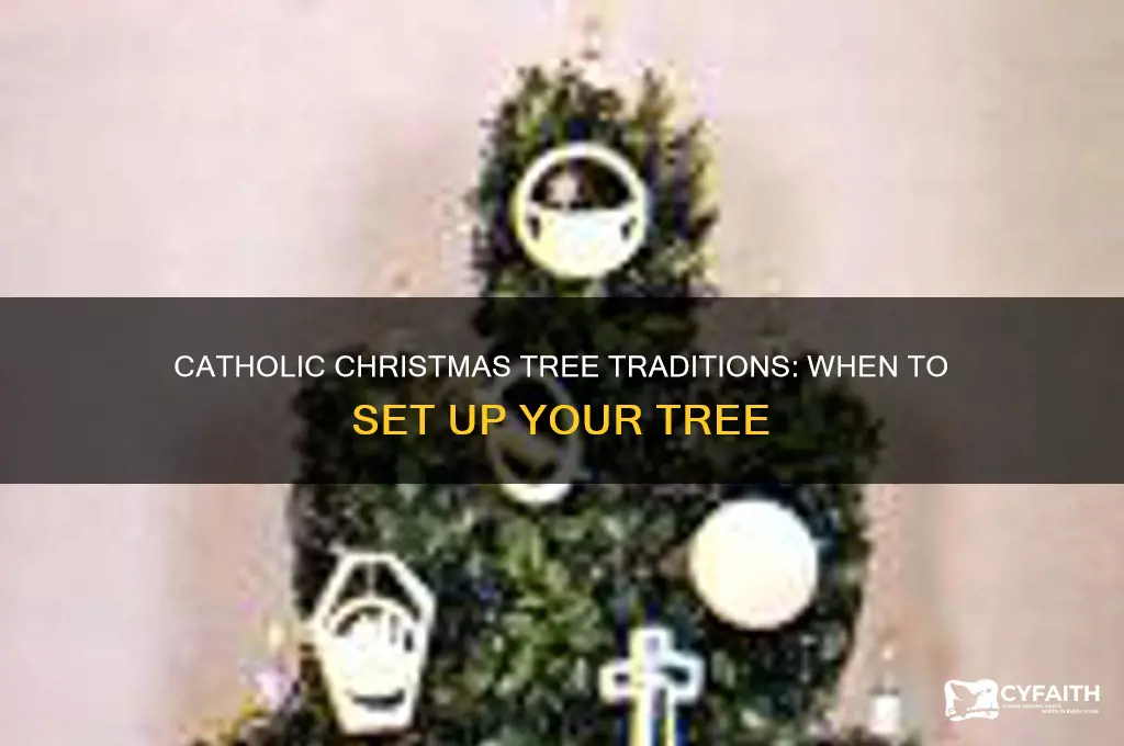when to set up christmastree catholic