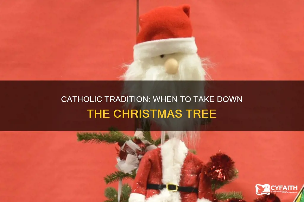 when to take down the christmas tree catholic