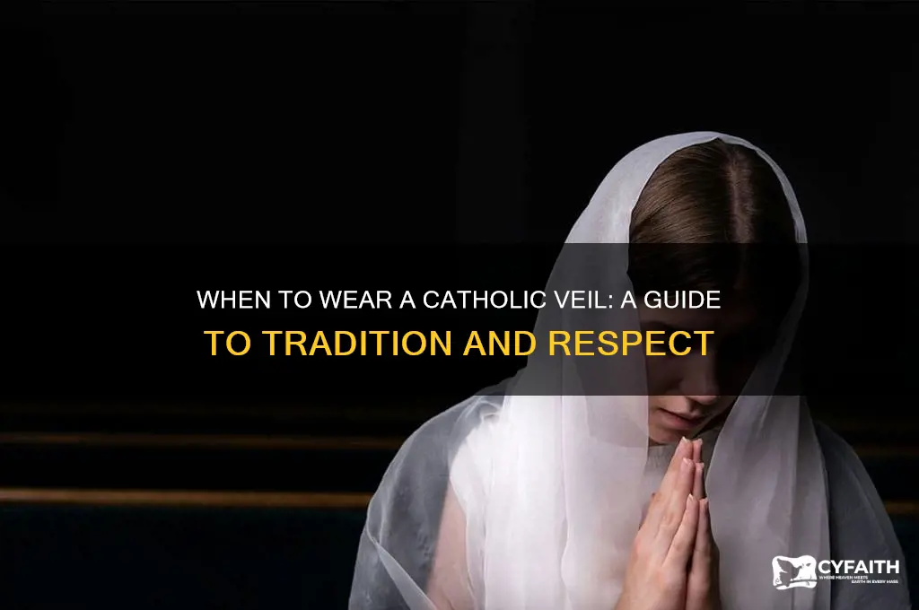when to wear a catholic veil