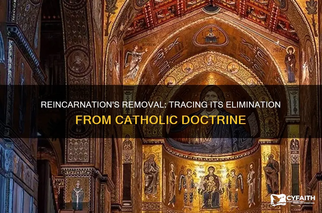 when was reincarnation eliminated from catholic doctrine