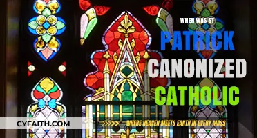 St. Patrick's Catholic Sainthood: The Canonization Journey Explored
