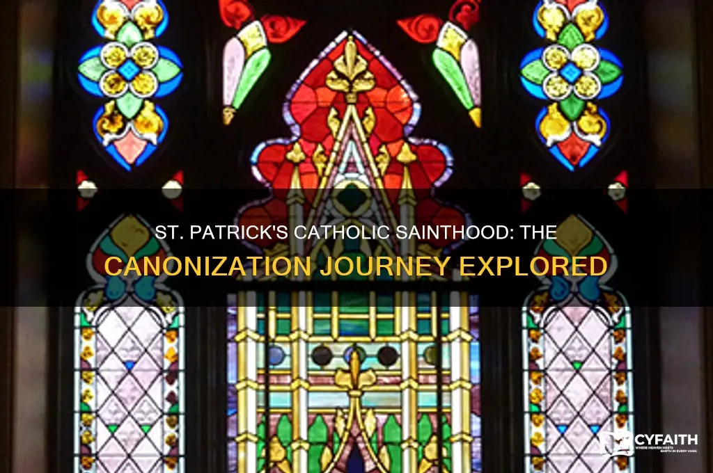 when was st patrick canonized catholic