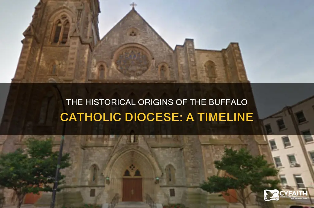 when was the buffalo catholic diocese