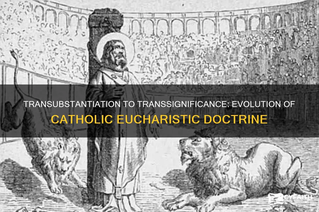when was the catholic doctrineof transubstantiation changed to transsignificance