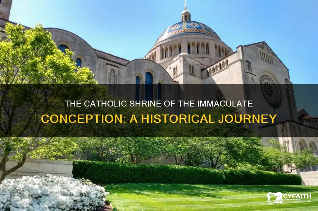 when was the catholic shrine of the immaculate conception made