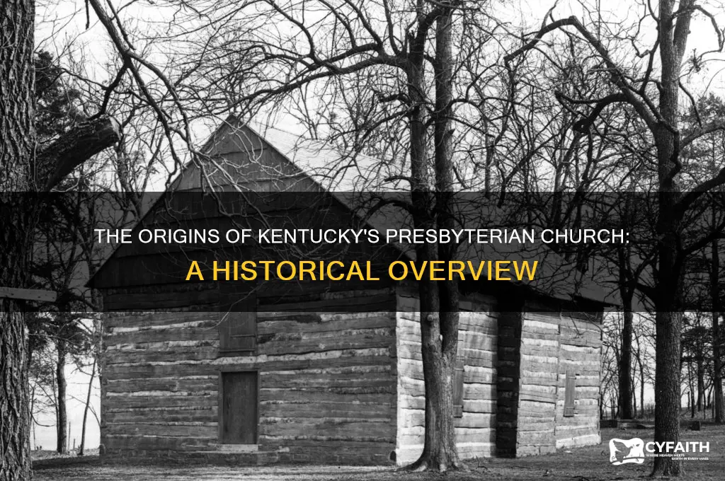 when was the presbyterian church founded in kentuchy
