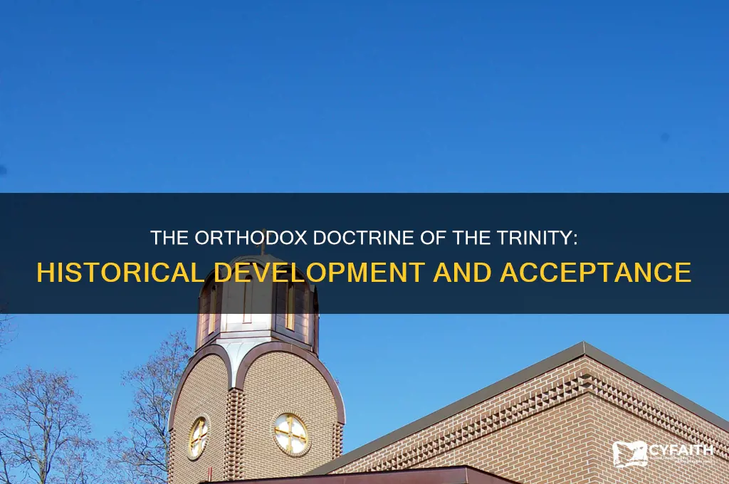 when was the trinity made orthodox