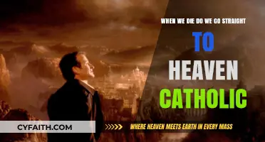 Catholic Teachings: Do We Go Straight to Heaven After Death?