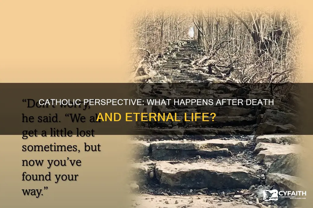 when we die what happens to us catholic
