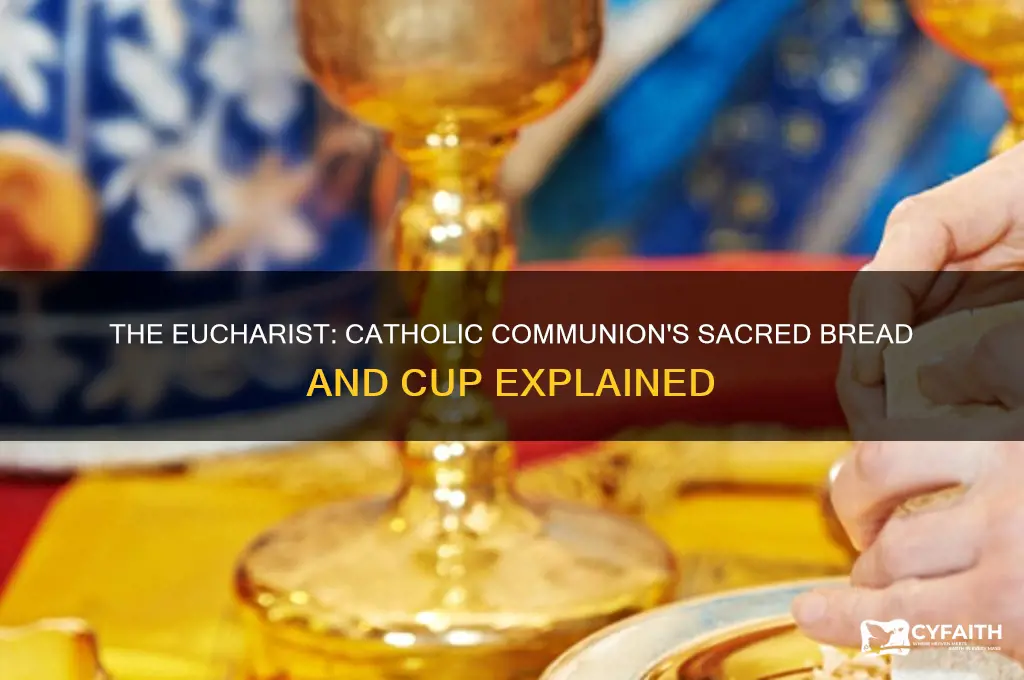 when we eat this bread and drink this cup catholic