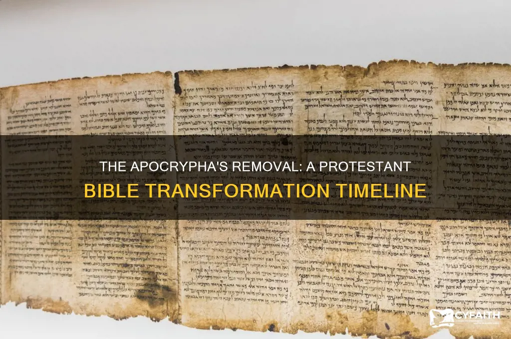 when were the apocrypha removed from the protestant bible