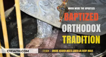 Orthodox Tradition: When Were the Apostles Baptized?