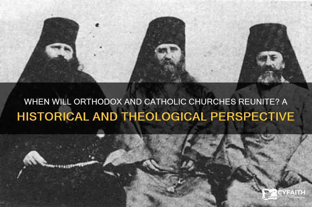when will orthodox and catholic reunite