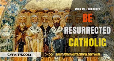 Catholic Resurrection Hope: When Will Our Bodies Rise Again?