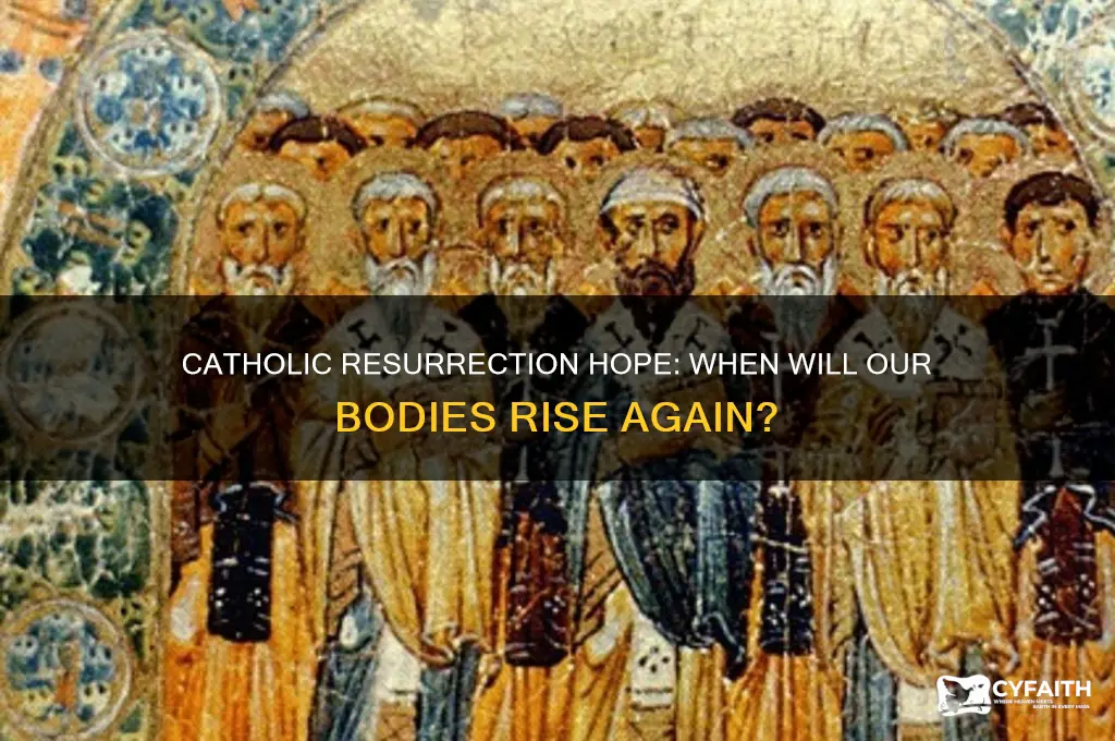 when will our bodies be resurrected catholic