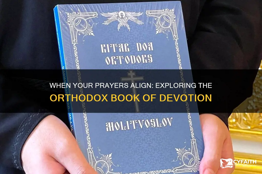 when your pray orthodox book
