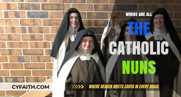 Where Have All the Catholic Nuns Gone? Exploring the Decline