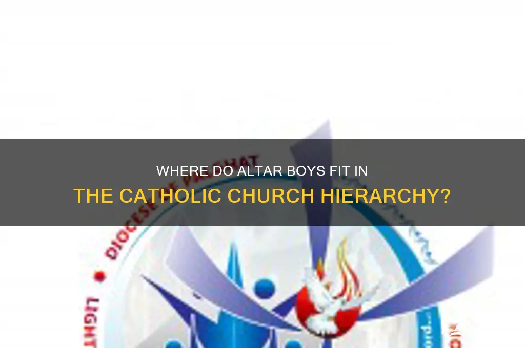 where are alter boys in catholic hiararcy