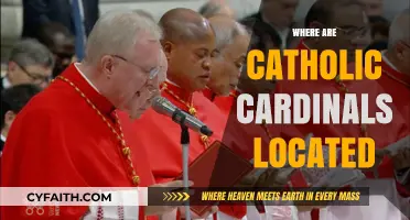 Global Presence: Where Catholic Cardinals Reside and Serve Today