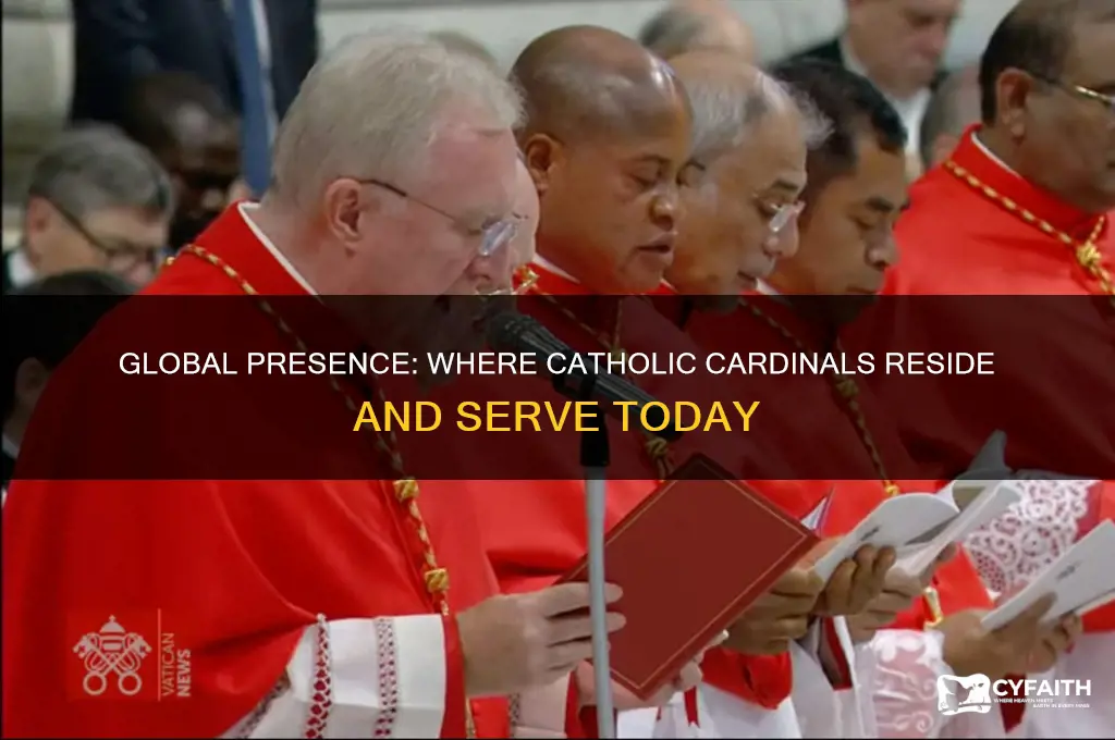 where are catholic cardinals located