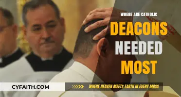 Catholic Deacons in Demand: Where Are They Needed Most?