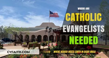 Where Catholic Evangelists Are Urgently Needed: Key Areas for Mission