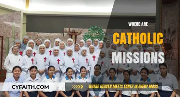 Exploring the Global Reach: Where Catholic Missions Are Located Today