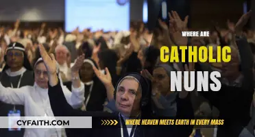 Exploring the Global Presence and Modern Roles of Catholic Nuns Today