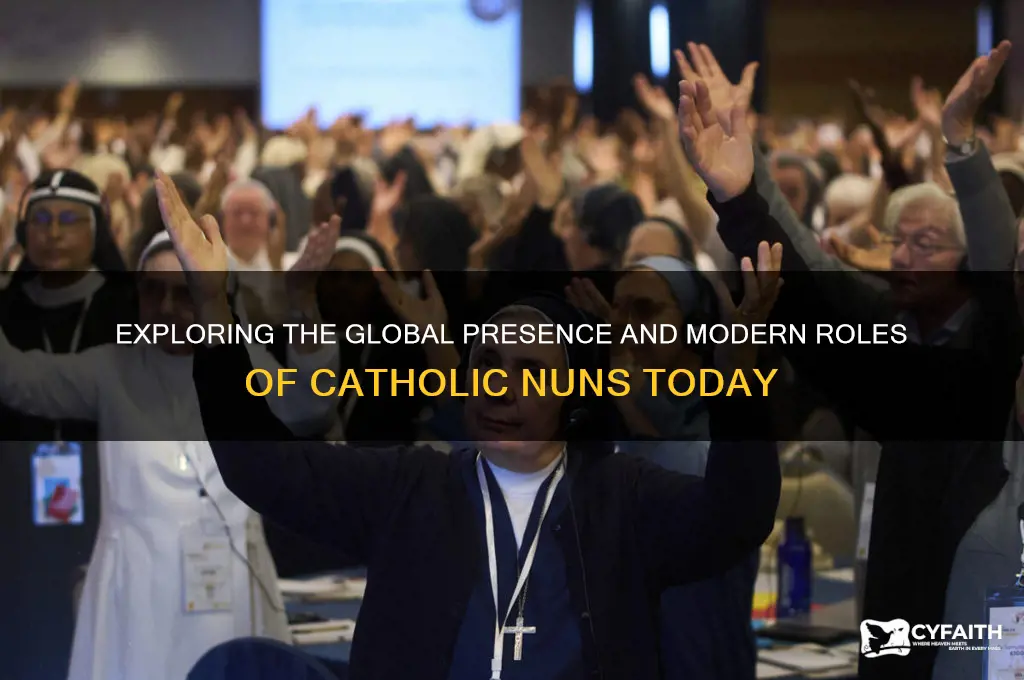 where are catholic nuns