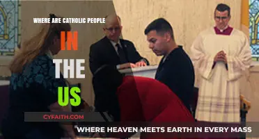 Mapping Faith: Where Catholic Communities Thrive Across the United States