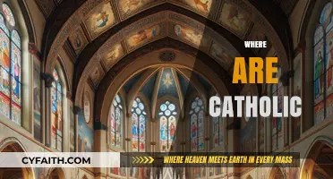 Exploring the Global Presence: Where Are Catholic Communities Today?