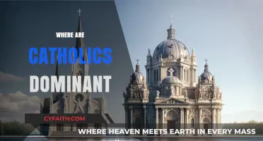 Where Catholicism Reigns: Exploring Regions with Dominant Catholic Populations