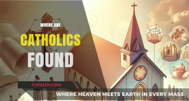 Global Catholic Presence: Exploring Faith Communities Across Continents and Cultures