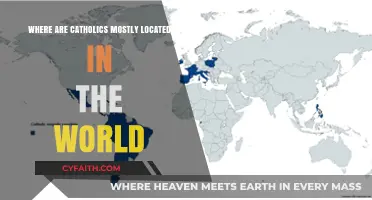 Global Catholic Presence: Mapping the World's Largest Christian Population