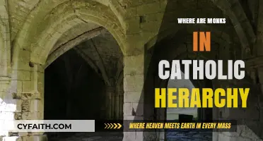Understanding Monks' Role and Placement in the Catholic Hierarchical Structure