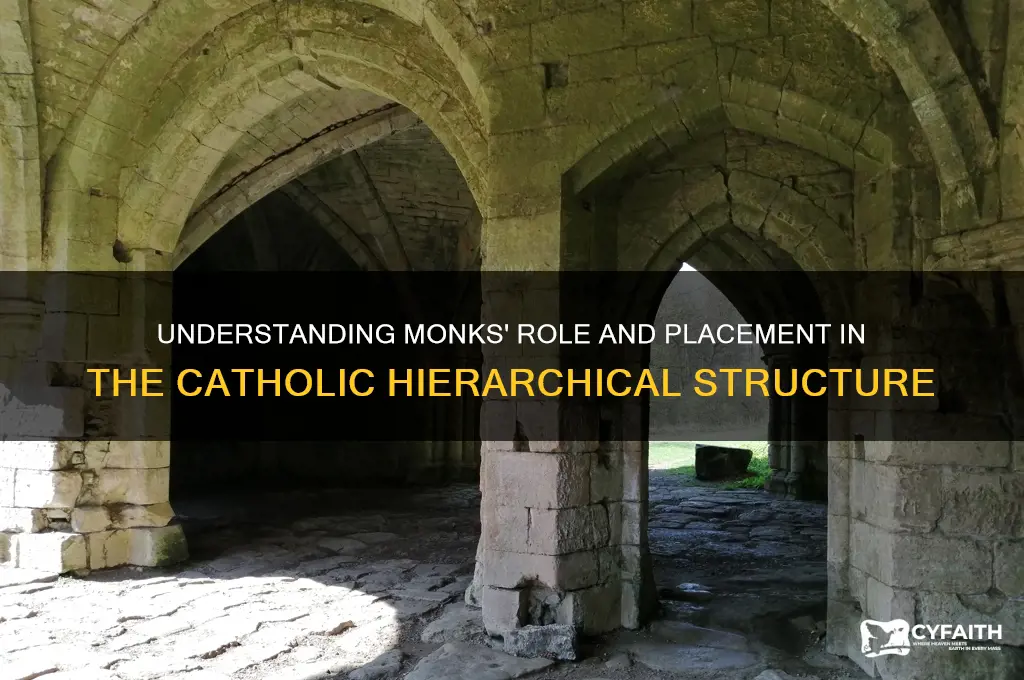 where are monks in catholic herarchy
