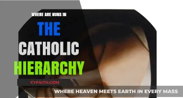 Understanding Nuns' Role and Place in Catholic Church Hierarchy