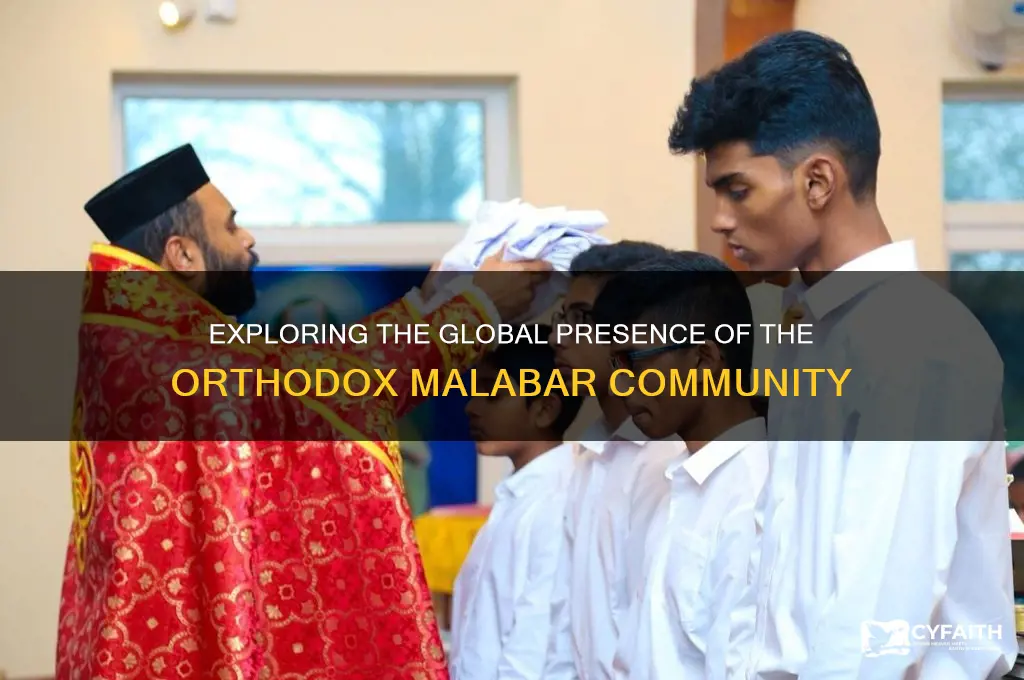 where are orthodox malabar community living