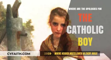 Where Are the Apologies for The Catholic Boy?