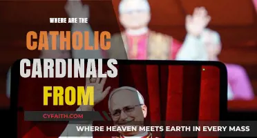 Global Origins of Catholic Cardinals: A Geographical Exploration