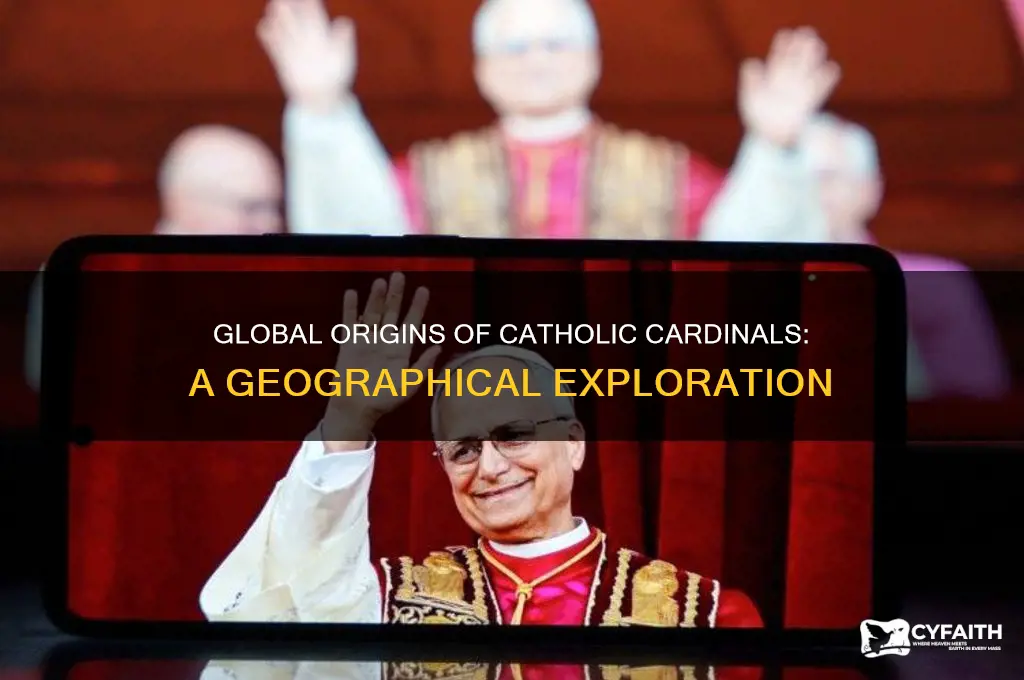 where are the catholic cardinals from